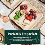 Chic Leaf Disposable Palm Leaf Plates - 50 Count, 8" Square, Natural - Bamboo Plates Disposable, Biodegradable & Compostable - Microwave Safe & Heavy Duty - Event & Party Supplies - Wedding Decor