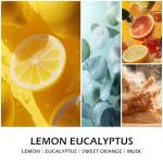 Molensun Lemon Eucalyptus Scented Candles, Mother's Day Gifts, Aromatherapy Jar Candle, 7 oz Long Lasting Candles, Soy Wax Candle Gift for Women