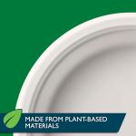 Hefty ECOSAVE Compostable Paper Plates, 8-3/4 Inch, 22 Count