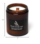 Hemlock Park Crackling Wood Wick Candle Handcrafted with Natural Coconut Wax (Standard 8 oz, Blood Orange Sage)