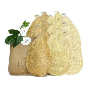 Natural Loofah Dish Sponge (Pack 15) - Vegetable Scrubber for Kitchen -100% Biodegradable Compostable Dishwashing Scouring Pad, Zero Waste Plastic Free Eco Friendly Sustainable