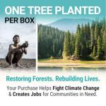 Eco-Friendly 300-Piece Compostable Wooden Cutlery Set