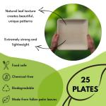 Naturally Chic Palm Leaf Plates 10 Inch & 7 Inch Square Bamboo Plates [50-Pack] - Biodegradable and Compostable for Appetizer and Dinner - Disposable Wood Dinnerware Set - Party Pack