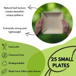 Naturally Chic Palm Leaf Plates 10 Inch & 7 Inch Square Bamboo Plates [50-Pack] - Biodegradable and Compostable for Appetizer and Dinner - Disposable Wood Dinnerware Set - Party Pack