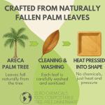 Naturally Chic Palm Leaf Plates 10 Inch & 7 Inch Square Bamboo Plates [50-Pack] - Biodegradable and Compostable for Appetizer and Dinner - Disposable Wood Dinnerware Set - Party Pack