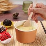 Pantry Value [100 Count] Wooden Spoons Disposable, Splinter-free Biodegradable Spoons, Eco-friendly, Compostable Utensils for Outdoors, Parties, and events