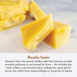 Candle by the Hour 80-Hour Citronella Candle Refill, Eco-friendly Natural Beeswax with Cotton Wick,Yellow