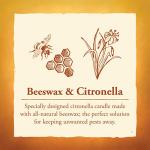 Candle by the Hour 80-Hour Citronella Candle Refill, Eco-friendly Natural Beeswax with Cotton Wick,Yellow