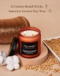 M&SENSE Baltic Amber Fall Scented Candle, 11.6oz Clean Natural Soy Wax Non Toxic Up to 70 Hours Burn Time 2 Cotton Wick Housewarming Candle for Home Scented