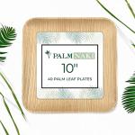 PALM NAKI Eco-Friendly Palm Leaf Plates - 10-Inch Square - Bamboo Style (40 Pack), Sustainable, Decorative & Compostable Tableware (10" Plates)