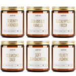 AOOVOO Candles Set - 6PC Scented Candles, Soy Candle, Aromatherapy Candle, Soy Wax Candle, Candle for Home Scented, Lavender/Vanilla/Eucalyptus/Sage/Jasmine/Sandalwood