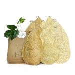 Natural Loofah Dish Sponge (Pack 10) - Vegetable Scrubber for Kitchen - 100% Biodegradable Compostable Dishwashing Scouring Pad, Zero Waste Plastic Free Eco Friendly Sustainable