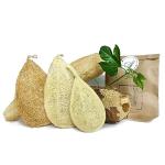 Natural Loofah Dish Sponge (Pack 10) - Vegetable Scrubber for Kitchen - 100% Biodegradable Compostable Dishwashing Scouring Pad, Zero Waste Plastic Free Eco Friendly Sustainable