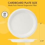 RACETOP Disposable Compostable Paper Plates 9 Inch [125 Pack], White Bagasse, Heavy-Duty Biodegradable Paper Plates, Eco-Friendly, Made of Natural Sugarcane Fibers