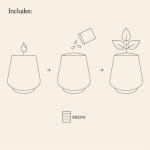 Modern Sprout Rooted Candle - 2 in 1 Cedarwood Scented & Soy Candle with Seeds That Grows into Lavender Plant - 6 oz w/ 42 hr Burn time in Matte Glaze Ceramic Vessel Ideal for Indoor Herb Garden