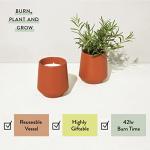 Modern Sprout Rooted Candle - 2 in 1 Cedarwood Scented & Soy Candle with Seeds That Grows into Lavender Plant - 6 oz w/ 42 hr Burn time in Matte Glaze Ceramic Vessel Ideal for Indoor Herb Garden