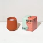 Modern Sprout Rooted Candle - 2 in 1 Cedarwood Scented & Soy Candle with Seeds That Grows into Lavender Plant - 6 oz w/ 42 hr Burn time in Matte Glaze Ceramic Vessel Ideal for Indoor Herb Garden