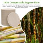 ECOLipak 6 Inch Disposable Compostable Small Paper Plates, 200 Pack Recycled Sugarcane Bagasse Biodegradable Heavy Duty Mini Dinner Appetizer Cake Dessert Plates for Party(Nature)