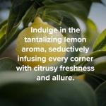 Gren Multi Surface Cleaner, all purpose cleaner refill Tablets, animal friendly cleaning products, all purpose cleaner concentrate, kitchen degreaser cleaner, non toxic cleaning spray, 5 Count