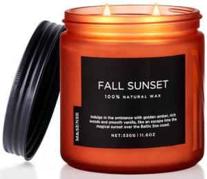 M&SENSE Baltic Amber Fall Scented Candle, 11.6oz Clean Natural Soy Wax Non Toxic Up to 70 Hours Burn Time 2 Cotton Wick Housewarming Candle for Home Scented