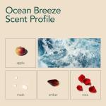 Kind Laundry Detergent Sheets with Stain-Fighting Enzymes - Plant Powered Eco-Friendly Laundry Soap Sheets - Home or Travel Laundry Detergent - Ocean Breeze, 18 Loads (Mom's Choice Award Winner)