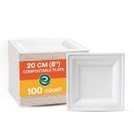 ECO SOUL Compostable Paper Plates 8 Inch (100 Count) Heavy Duty Disposable Dessert Plates, Eco-Friendly Sugarcane Bagasse Small Plates For Appetizer- White