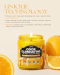 AOOVOO Citrus Lemon Odor Eliminating Highly Fragranced Candle - Eliminates 95% of Pet, Smoke, Food, and Other Smells Quickly, Air Freshing Soy Candle, 9 oz