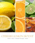 AOOVOO Citrus Lemon Odor Eliminating Highly Fragranced Candle - Eliminates 95% of Pet, Smoke, Food, and Other Smells Quickly, Air Freshing Soy Candle, 9 oz