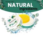 Shadazzle Natural All Purpose Cleaner and Polish – Eco friendly Multi-purpose Cleaning Product (2 Pack, Eucalyptus)