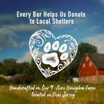 Project Sudz Solid Dish Soap | Plastic-Free Eco-Friendly Dishwashing Block | Made with Coconut Oil | 4 oz Reusable Tin | Zero Waste, Long-Lasting, Non-Toxic Grease Cutter