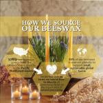 Big Dipper Wax Works Beeswax Taper Candles, Pair of Hand-Dipped 100% Pure Beeswax, Unscented with Natural Honey Aroma, 12" x 7/8" Standard Size, Long 12-Hour Burn, Eco-Friendly Handmade Candles