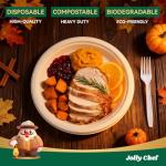JOLLY CHEF Compostable Heavy Duty Plates 9 Inch [300 Pack] Eco-Friendly Disposable Natural Paper Plates Bagasse Biodegradable Bulk for Party Dinner Sugarcane Fibers Thanksgiving Day (Brown)