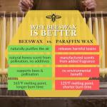 Big Dipper Wax Works Beeswax Taper Candles, Pair of Hand-Dipped 100% Pure Beeswax, Unscented with Natural Honey Aroma, 12" x 7/8" Standard Size, Long 12-Hour Burn, Eco-Friendly Handmade Candles