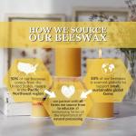 Big Dipper Wax Works 100% Pure Beeswax Pillar Candle, Medium 3" x 3.5", 60-Hour Burn, Handcrafted Honey Aroma, Clean Soot-Free Flame, Eco-Friendly Cotton Wick for Home Décor, Meditation & Relaxation