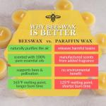 Big Dipper Wax Works 100% Pure Beeswax Pillar Candle, Medium 3" x 3.5", 60-Hour Burn, Handcrafted Honey Aroma, Clean Soot-Free Flame, Eco-Friendly Cotton Wick for Home Décor, Meditation & Relaxation