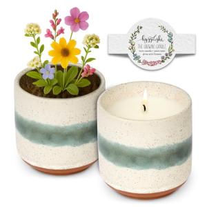 Hyggelight - The Growing Candle, Lavender Scented, 8.5oz Ceramic Pot, Single Wick Aromatherapy Candles, 100% Soy for Women and Men, Edith