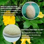 TEXNINC 3 Pack Natural Loofah Bath Exfoliation Body Scrubber & Shower Sponge, Eco-Friendly Biodegradable Exfoliating Scrubber for Women & Men, Beige