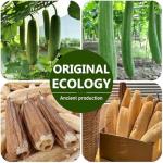 TEXNINC 3 Pack Natural Loofah Bath Exfoliation Body Scrubber & Shower Sponge, Eco-Friendly Biodegradable Exfoliating Scrubber for Women & Men, Beige