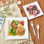 ECOLipak 10 Inch Square Paper Plates, 300 Pack Compostable Heavy Duty Biodegradable Paper Plates, Made from Sugarcane, Eco Friendly White Disposable Plates for Party, Dinner