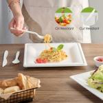 ECOLipak 10 Inch Square Paper Plates, 300 Pack Compostable Heavy Duty Biodegradable Paper Plates, Made from Sugarcane, Eco Friendly White Disposable Plates for Party, Dinner