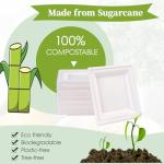 ECOLipak 10 Inch Square Paper Plates, 300 Pack Compostable Heavy Duty Biodegradable Paper Plates, Made from Sugarcane, Eco Friendly White Disposable Plates for Party, Dinner