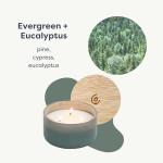 Calyan Wax Co. Evergreen & Eucalyptus 3 Wick Scented Candle - 30 Hour Burn - Luxury 3 Wick Soy Candles - Non Toxic Soy Wax Candles - Long Lasting Large Ceramic Jar Candle for Home - 8oz