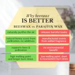 Big Dipper Wax Works 100% Pure Beeswax Pillar Candle, Small 2" x 4.75”, 40 Hour Burn, Handcrafted Natural Honey Aroma, Clean Soot-Free, Eco-Friendly Cotton Wick for Home Décor, Meditation & Relaxation