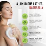 All Natural Loofah Sponge, Pack of 2 Real Egyptian Bath & Shower Exfoliating Loofa Scrubber Sponges for Face, Back & Body, Eco Friendly, No Toxic Chemicals, 6" x 6" by Crafts of Egypt