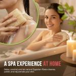 All Natural Loofah Sponge, Pack of 2 Real Egyptian Bath & Shower Exfoliating Loofa Scrubber Sponges for Face, Back & Body, Eco Friendly, No Toxic Chemicals, 6" x 6" by Crafts of Egypt