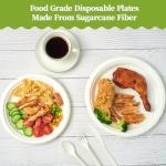 ECOLipak 120 Pack Compostable Paper Plates, 9 inch and 7 inch Heavy Duty Disposable Paper Plates, Eco friendly Sugarcane Biodegradable for Party Dinner Birthday