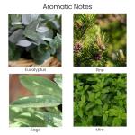 Eco-Friendly Soy Candles with Sage & Eucalyptus