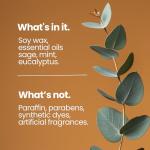 Eco-Friendly Soy Candles with Sage & Eucalyptus