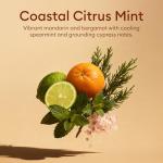 Vove Natural Dish Soap Bar | Bergamot & Grapefruit Essential Oils | Zero Waste Dishwashing Blocks | Plastic-Free Kitchen Soap Cold Pressed | Plant-Based & Eco-Friendly | Single bar (3.5 oz)