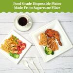 Eco-Friendly Compostable Paper Plates - 120 Pack